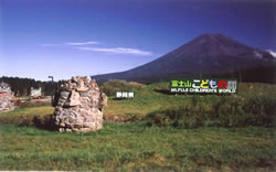No.236 2009 SUMMER